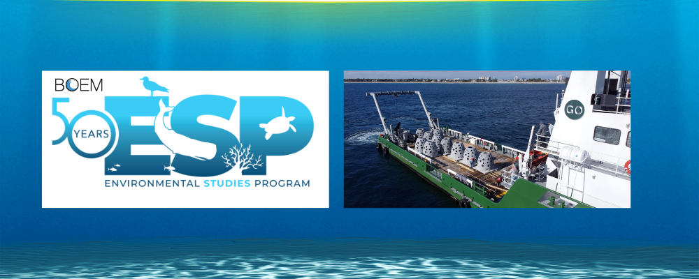 BOEM’s Environmental Studies (ESP) 50th Anniversary Showcase, BOEM Gulf of Mexico Offshore Sand Management Working Group