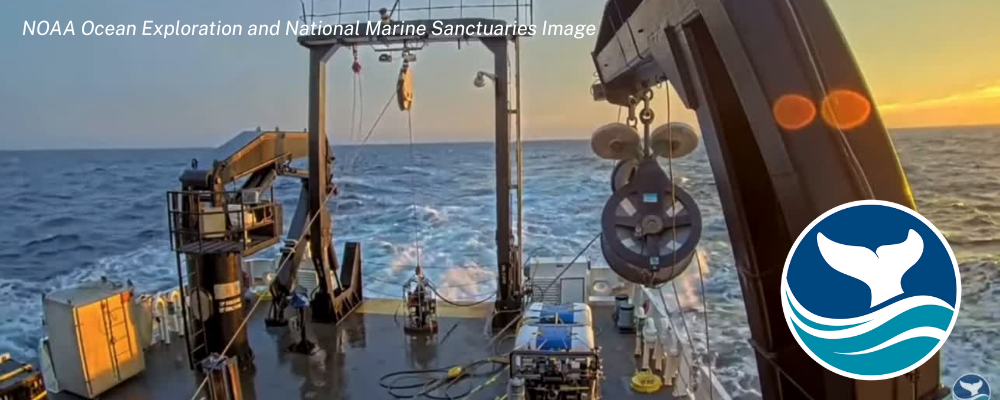 Explore the Depths of New York’s Hudson Canyon Live With NOAA National Marine Sanctuaries Through Sept. 26, 2025