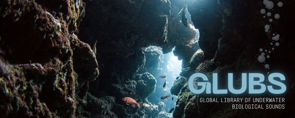 GLUBS GLUBS! Scientists Are Creating a Global Library of Underwater Biological Sounds (Mostly Fish)