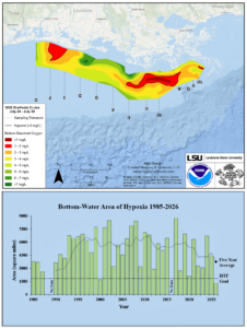Top figure: A map of the measured Gulf of America hypoxia zone, July 24-30, 2026. Red area denotes 2 mg/L of oxygen or lower, the level which is considered hypoxic (i.e., having inadequate oxygen levels) at the bottom of the seafloor. (Bottom) Long-term measurement of the Gulf hypoxic zone (green bars) as found during ship surveys conducted since 1985, including the target goal established by the Mississippi River/Gulf of America Hypoxia Task Force and the 5-year average size (black dashed lines). (Image credit: NOAA and LSU)