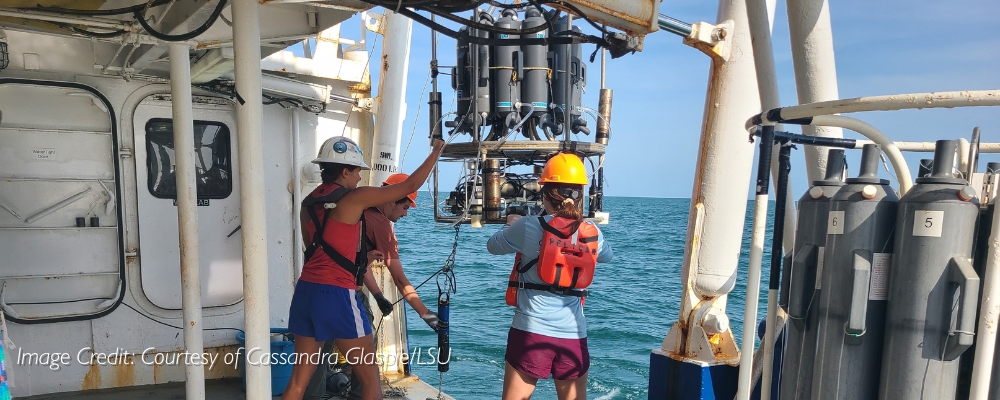 Tropical Storm Bertha Helped Reduce 2026 Gulf of America Hypoxic Zone | Measuring a ‘dead zone’: Scientists retrieve the CTD (conductivity, temperature, depth) package of ocean sensors after profiling dissolved oxygen at a station during the Shelfwide Hypoxia Cruise in the Gulf of America. (Image credit: Courtesy of Cassandra Glaspie/LSU) Tropical Storm Bertha Helped Reduce 2026 Gulf of America Hypoxic Zone | Measuring a 'dead zone': Scientists retrieve the CTD (conductivity, temperature, depth) package of ocean sensors after profiling dissolved oxygen at a station during the Shelfwide Hypoxia Cruise in the Gulf of America. (Image credit: Courtesy of Cassandra Glaspie/LSU)